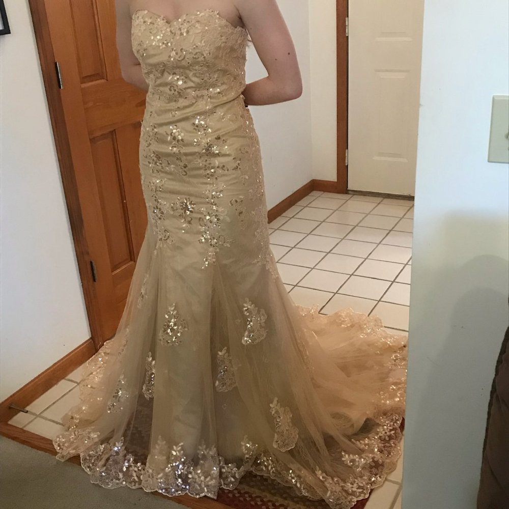 Prom dress.  Mermaid/Trumpet.